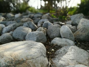 Surface level of pebble stones