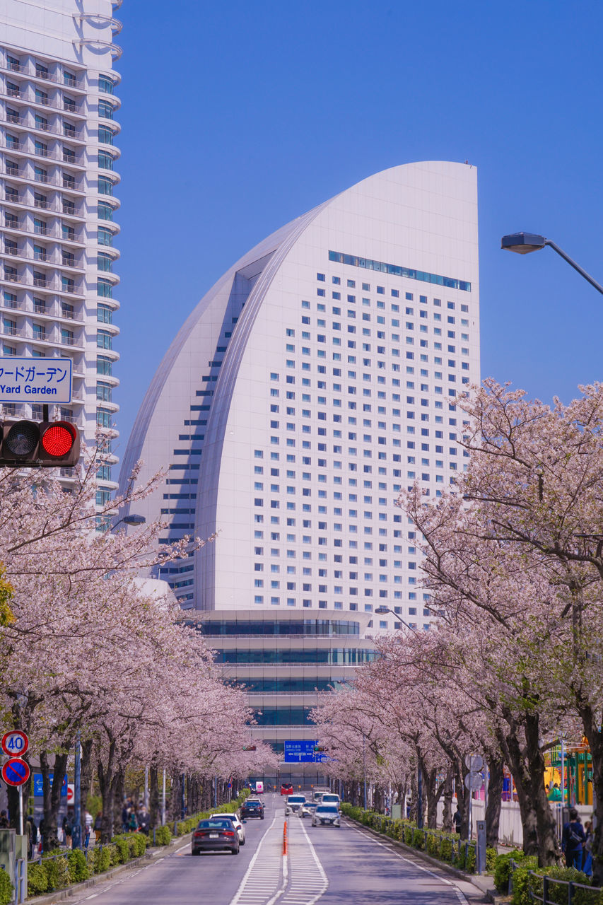 VIEW OF CITY BUILDINGS