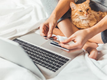 Cute ginger cat and woman in bed with laptop.online order,paying with credit cards. online shopping.