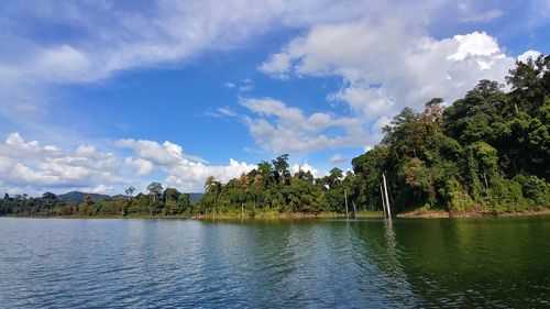 Scenic view of lake by trees against sky