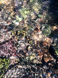 High angle view of leaves in sea