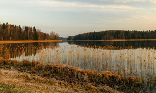 Scenic view of lake against sky