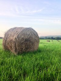 Hay bales on field against sky