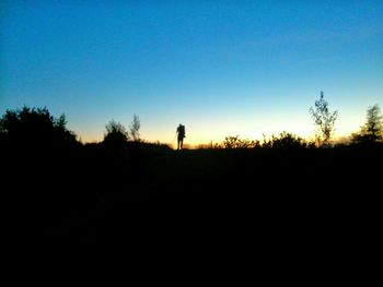 Silhouette of trees on landscape at sunset