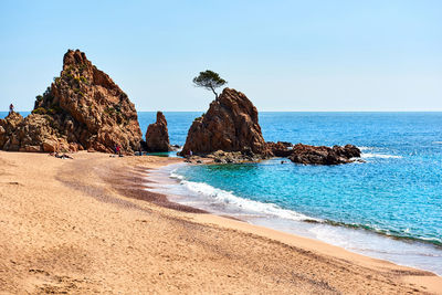 Scenic view of beach against clear sky