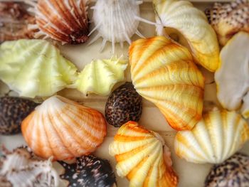 Full frame shot of food