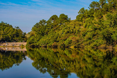 Scenic view of lake by trees against sky