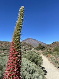 Tower of jewels with mount teide against a clear blue sky