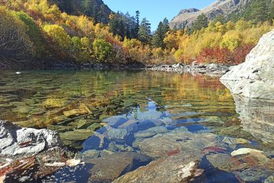 Scenic view of lake during autumn