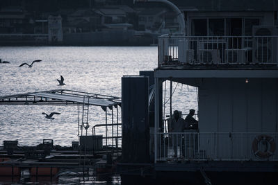 Seagulls flying over canal in city