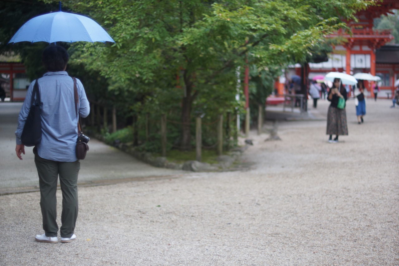 walking, real people, tree, rear view, people, incidental people, men, full length, plant, lifestyles, umbrella, transportation, protection, casual clothing, direction, footpath, nature, adult, outdoors, rain, rainy season