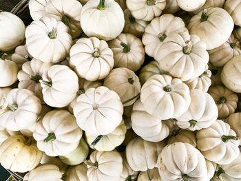 Full frame shot of white roses for sale in market