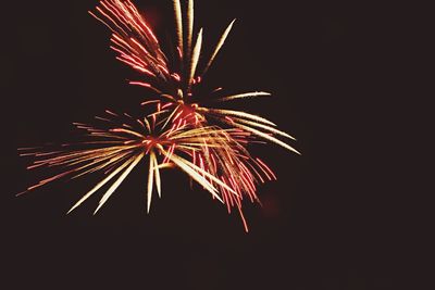 Low angle view of firework display against sky at night