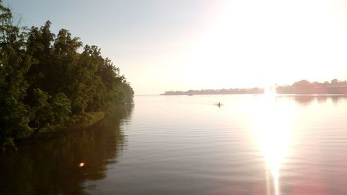 Reflection of trees in water at sunset