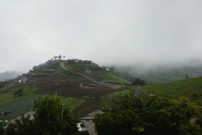 Scenic view of agricultural landscape against sky