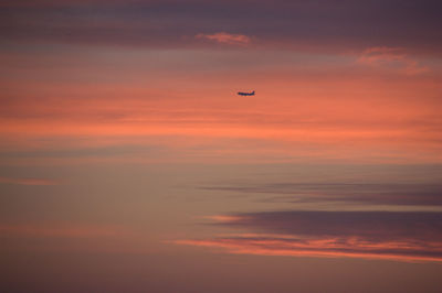 Bird flying in sky during sunset