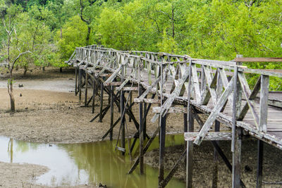 Bridge over river in forest