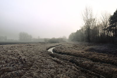 Scenic view of agricultural field against sky during winter