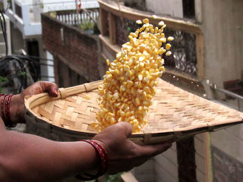 Close-up of human hands thrashing corn seeds