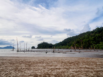 Scenic view of beach against sky