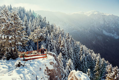Man standing by trees on snow covered mountain
