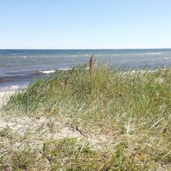 Scenic view of sea against clear sky