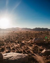 Scenic view of desert against sky