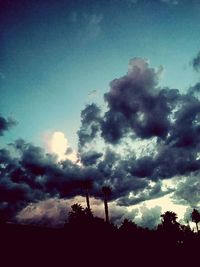 Low angle view of silhouette trees against sky