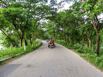  view of people riding three-wheelers on green road