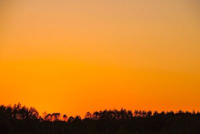 Scenic view of silhouette trees against orange sky