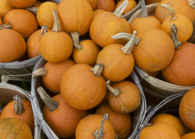Full frame shot of pumpkins in market