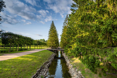 The view of the catherine park in tsarskoye selo