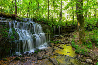 Waterfall in forest