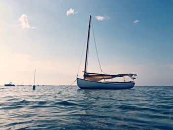 Sailboat sailing on sea against sky