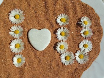 Directly above shot of heart shape made of white flower