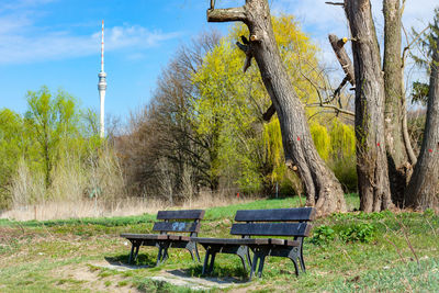 Bench in park