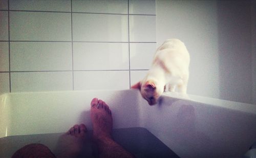Low section of woman relaxing on floor