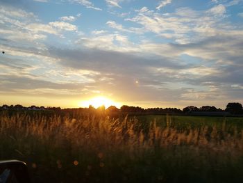 Scenic view of field against sky during sunset
