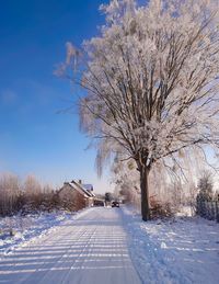 Bare tree on snow covered field against sky during winter