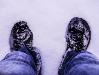 Low section of person standing on snow