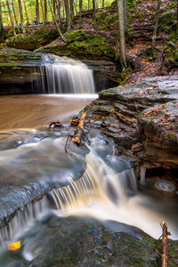 Scenic view of waterfall in forest