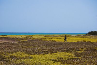 Scenic view of landscape against clear sky