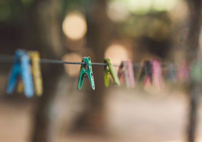 Close-up of clothespins hanging on clothesline