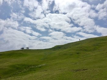 Scenic view of green field against sky