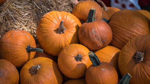 High angle view of pumpkins for sale