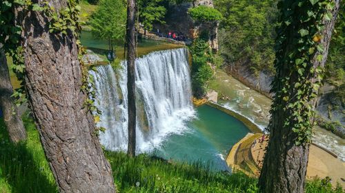 Scenic view of waterfall in forest