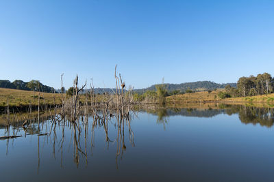 Scenic view of lake against clear blue sky