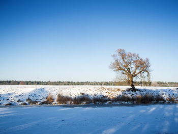 Snow-covered winter landscape with a view over a canal onto an open field and a single tree. 