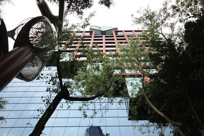 Low section of person by tree against building