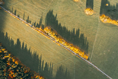 High angle view of people walking on street